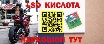 прущие грибы Дубна