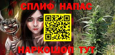 прущие грибы Дубна