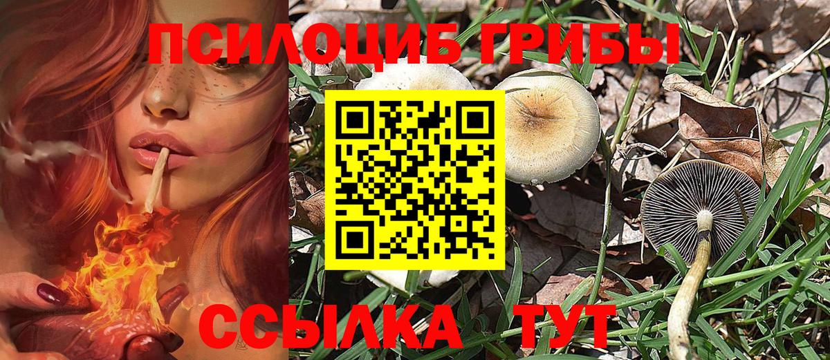 Псилоцибиновые грибы мицелий Оренбург